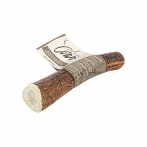 Deer Antler Dog Chew