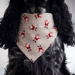 Bandana - Christmas Santa Claus