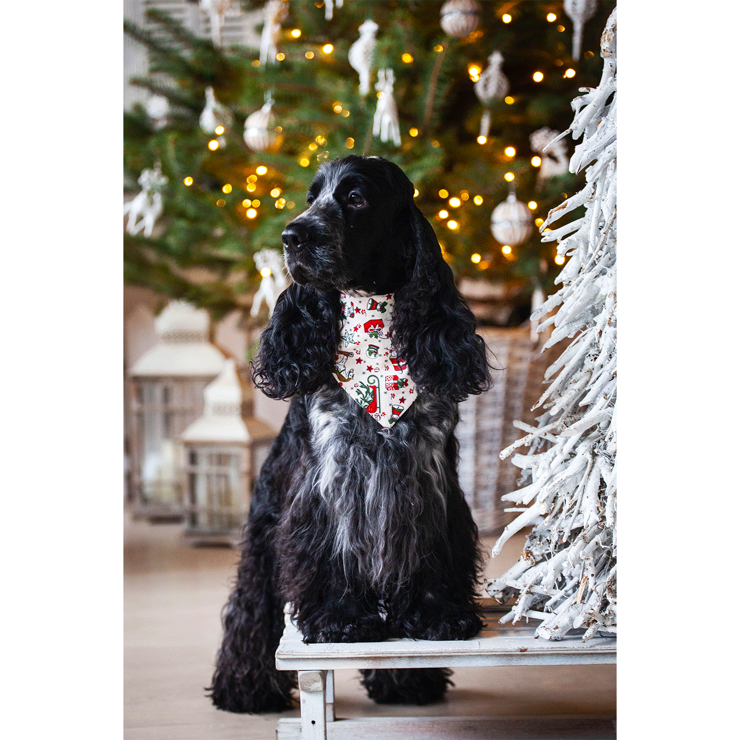 Bandana - Christmas Spirit - Image 2