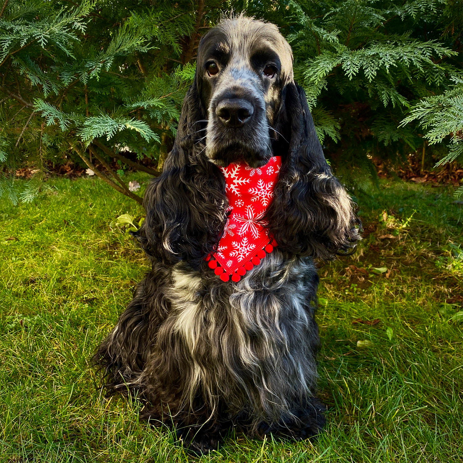 Handmade Christmas Snowflakes with Pompoms Bandana for Dogs and Cats