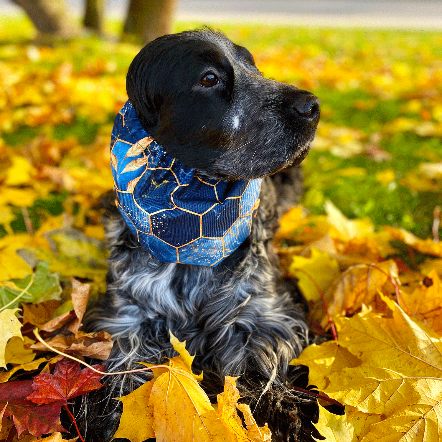 Handmade Waterproof Thick Snood Blue Honeycomb with Gold Leaves