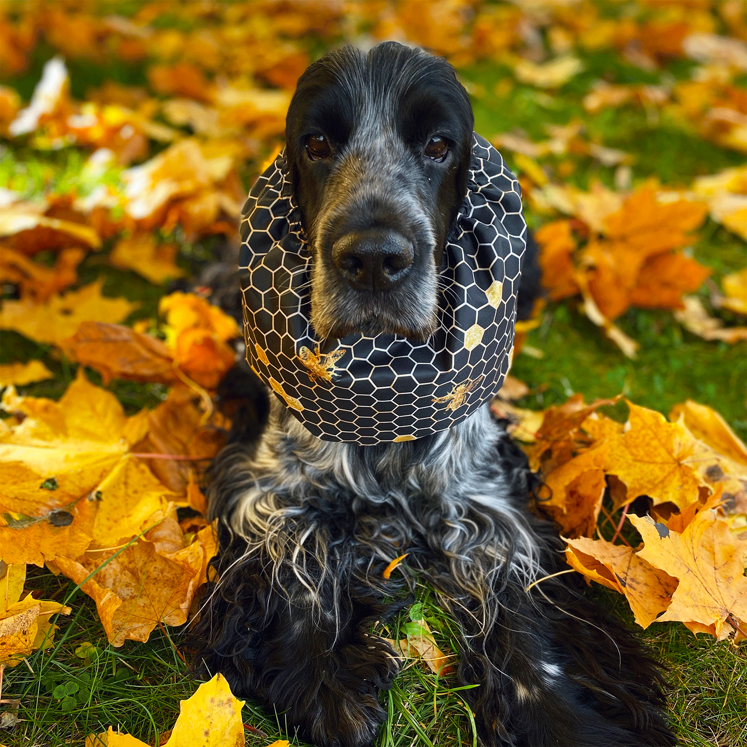 Handmade Waterproof Thin Snood Honeycombs and Bees