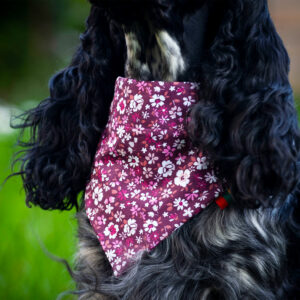 Ugne Winner Pink Flowers Dog Bandana Pet Accessories