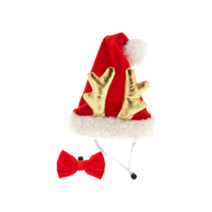 Christmas Hat and Bow Tie