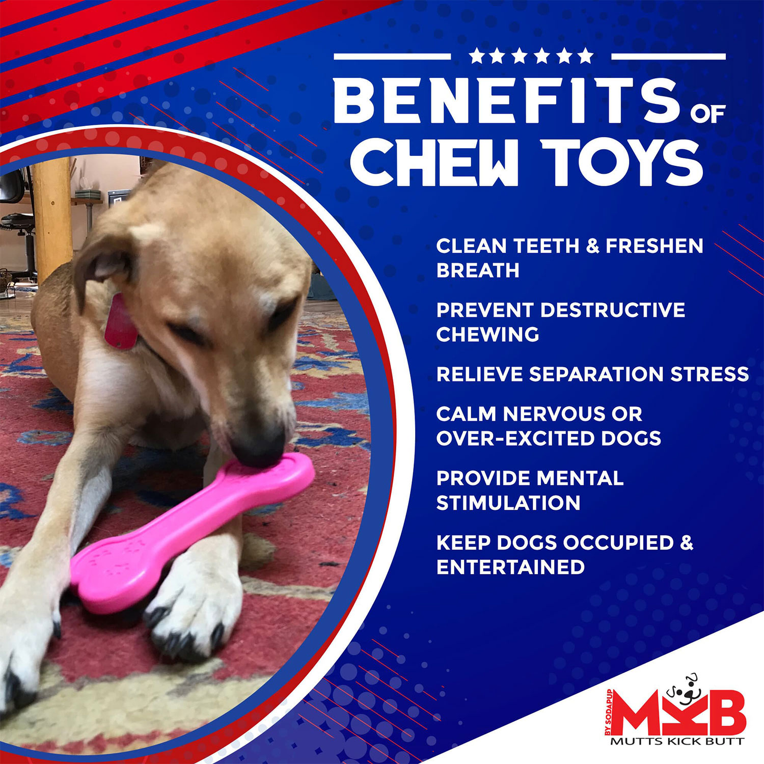 Bone Ultra Durable Nylon Dog Chew Toy - Image 4
