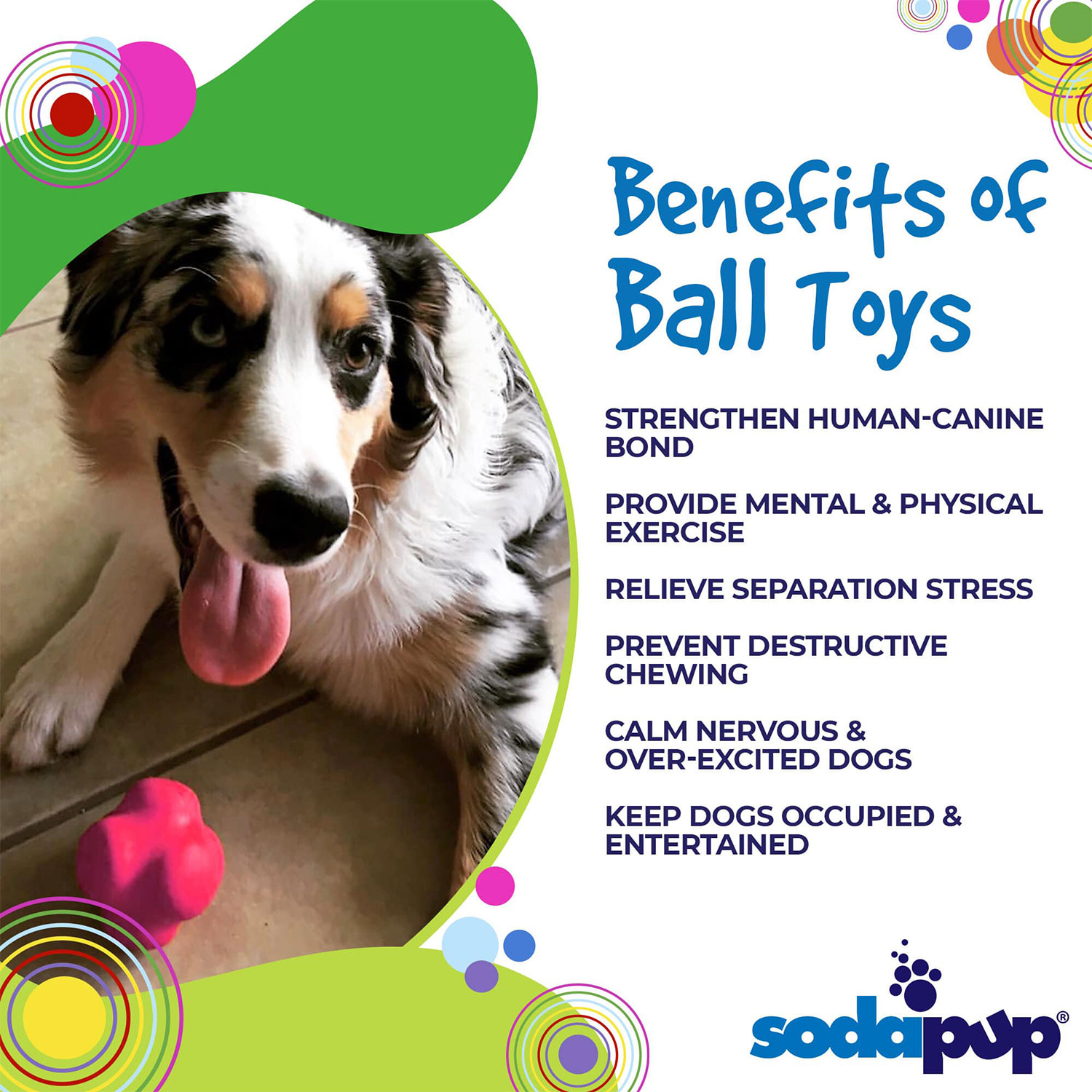 Crazy Bounce Ultra Durable Rubber Chew And Retrieving Toy - Image 5
