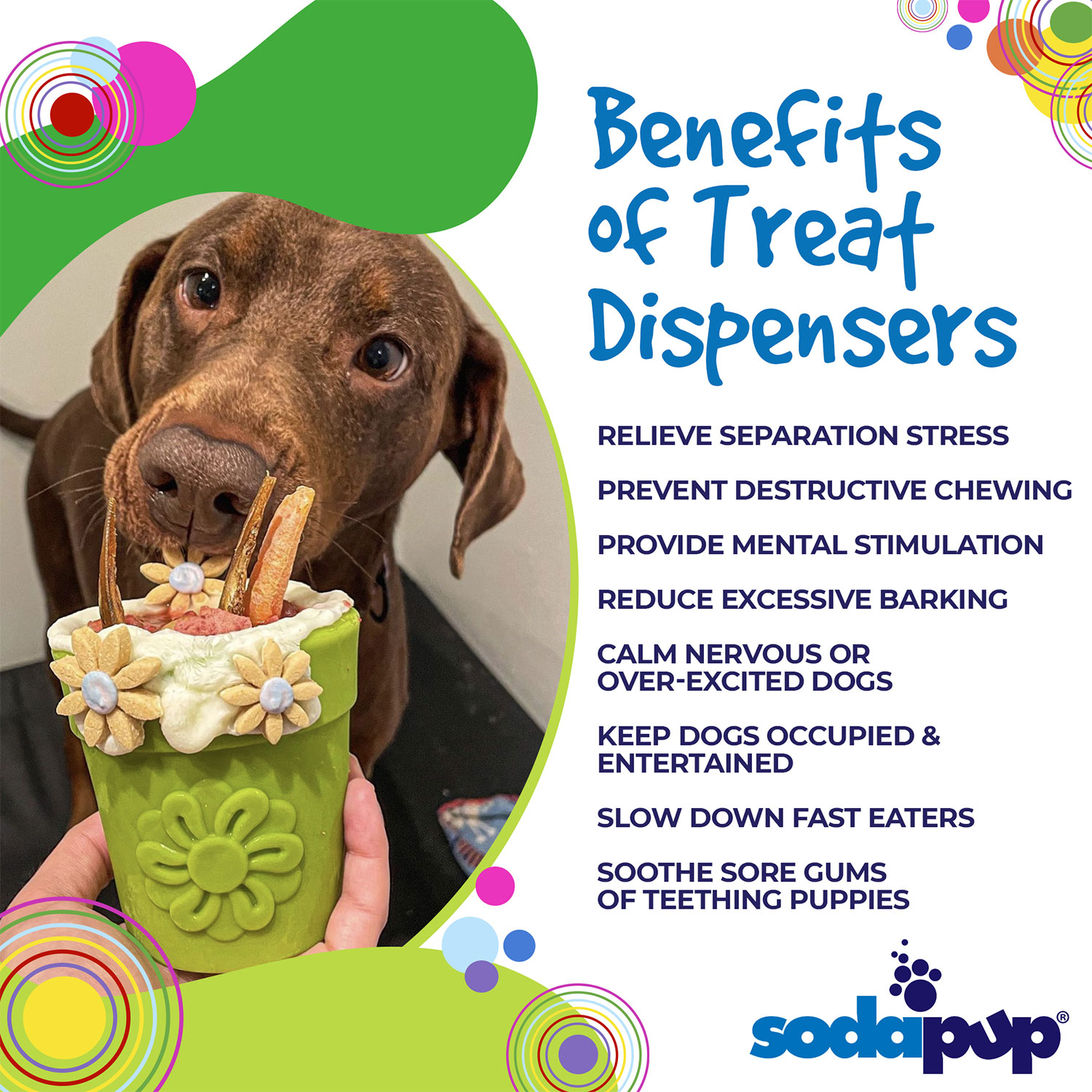 Flower Pot Durable PUP-X Rubber Treat Dispenser & Enrichment Toy - Image 6