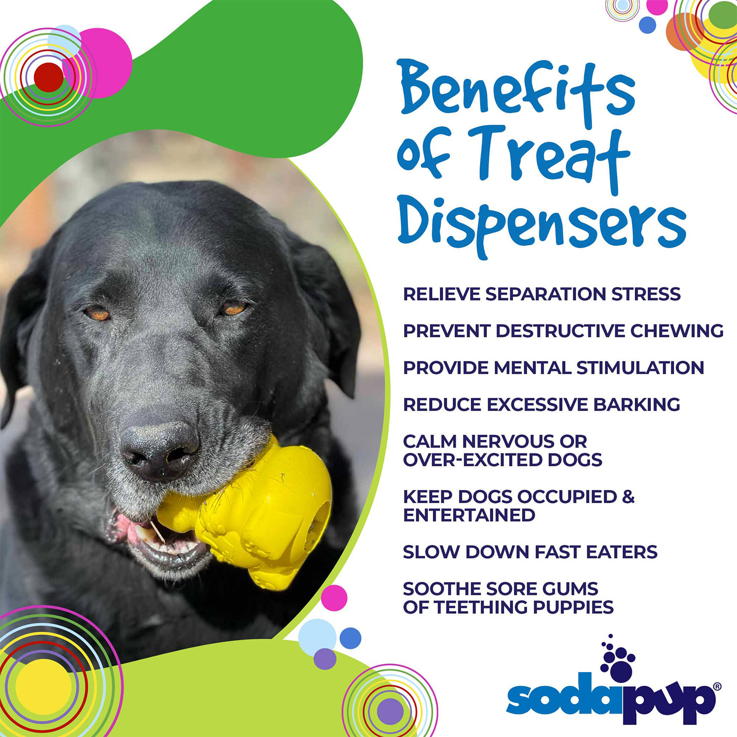 Honey Bear Durable Rubber Treat Dispenser - Image 4