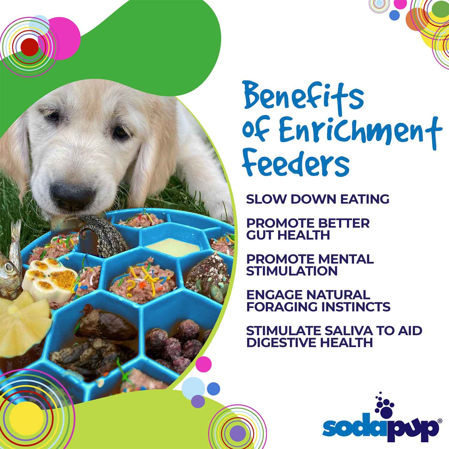 Sodapup Honeycomb Design eBowl Enrichment Slow Feeder Bowl for Dogs Benefits