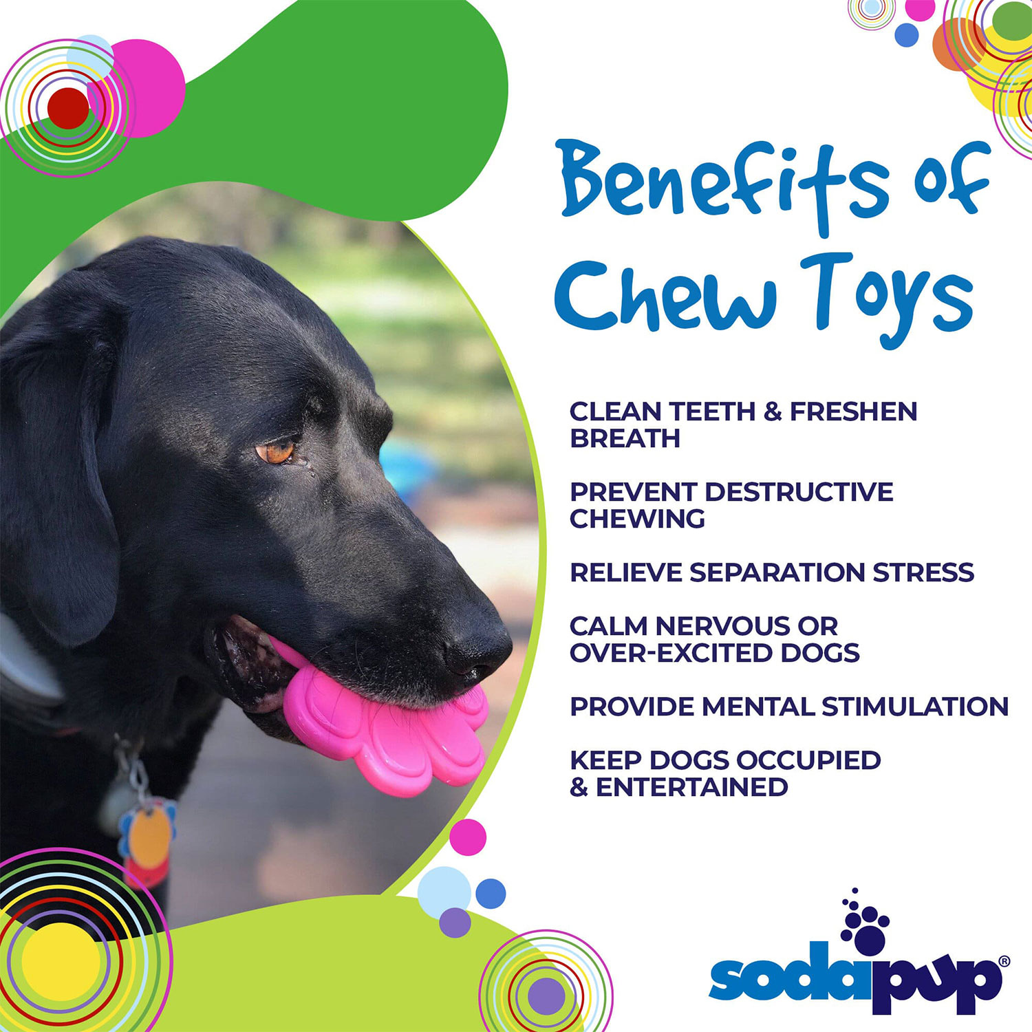 Paw Print Ultra Durable Nylon Dog Chew Toy - Image 4