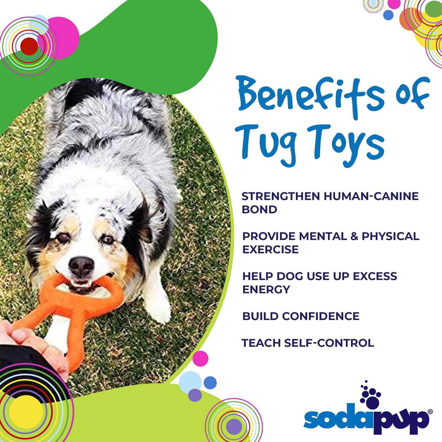 Pop Top Rubber Tug Toy for Interactive Play - Image 4