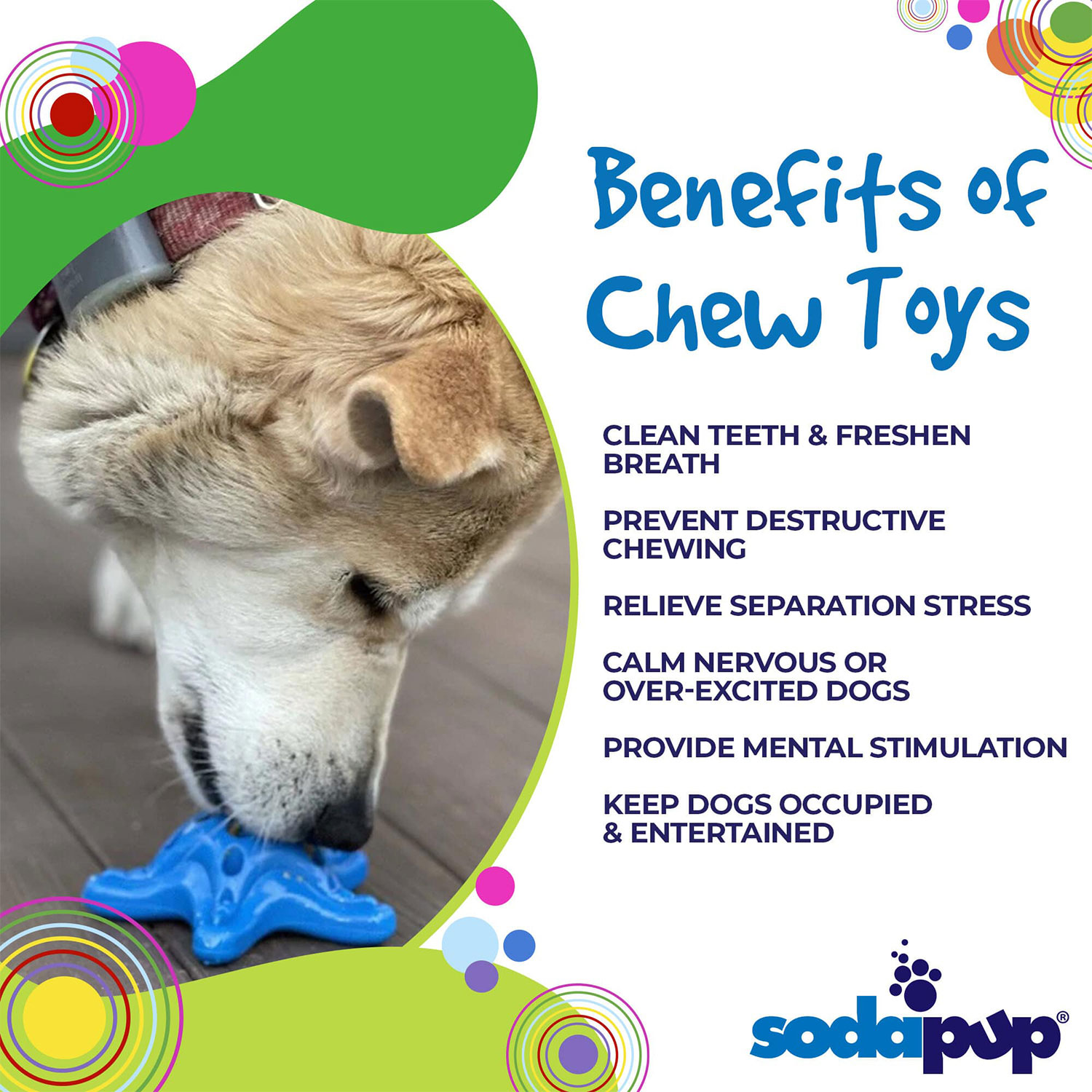 Starfish Ultra Durable Nylon Dog Chew Toy For Aggressive Chewers - Image 5