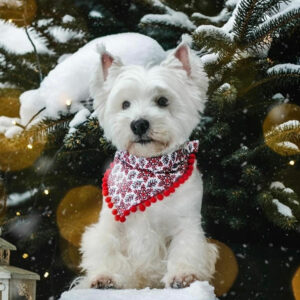 Bandana - Christmas Red Snowflakes with Pompoms