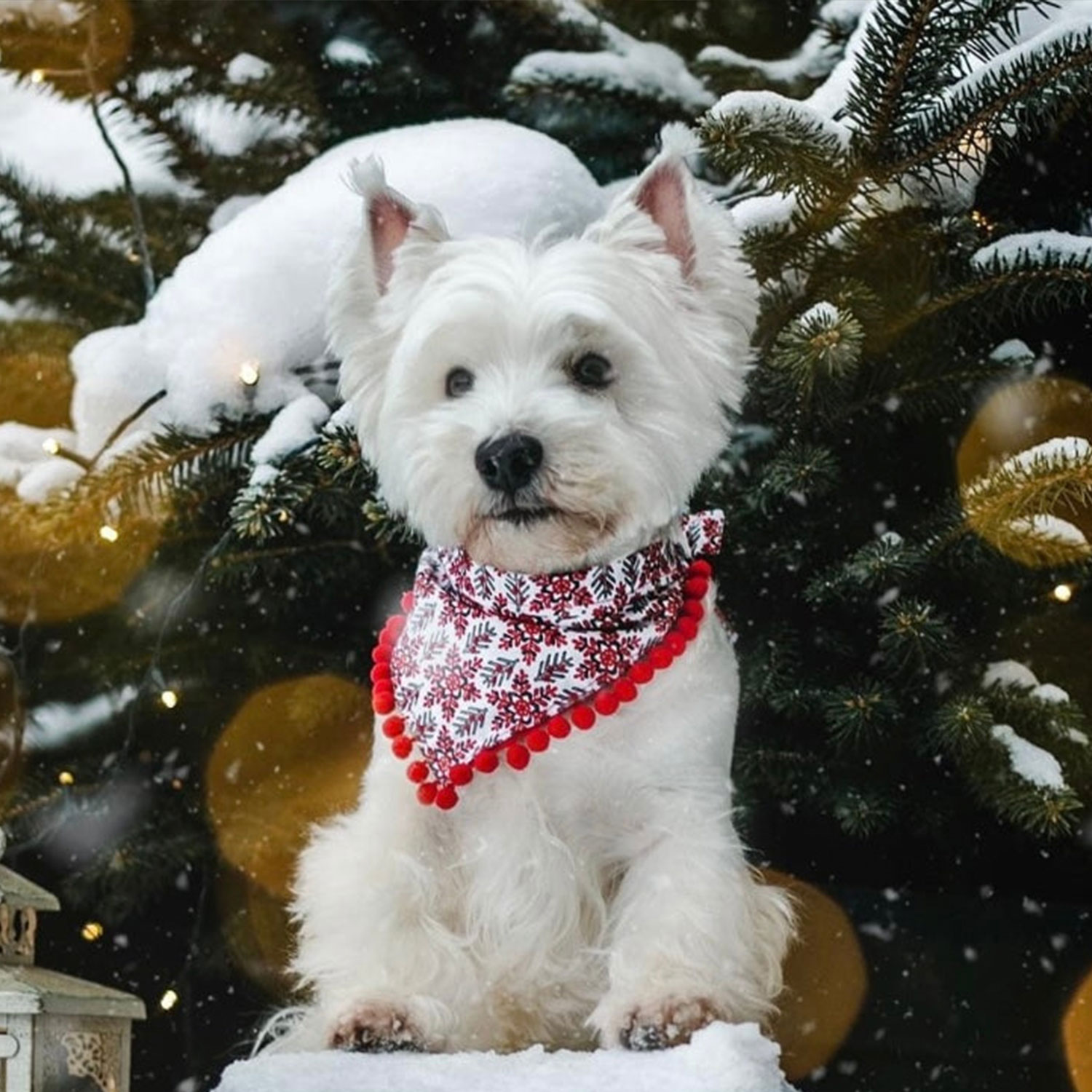 Bandana - Christmas Red Snowflakes with Pompoms