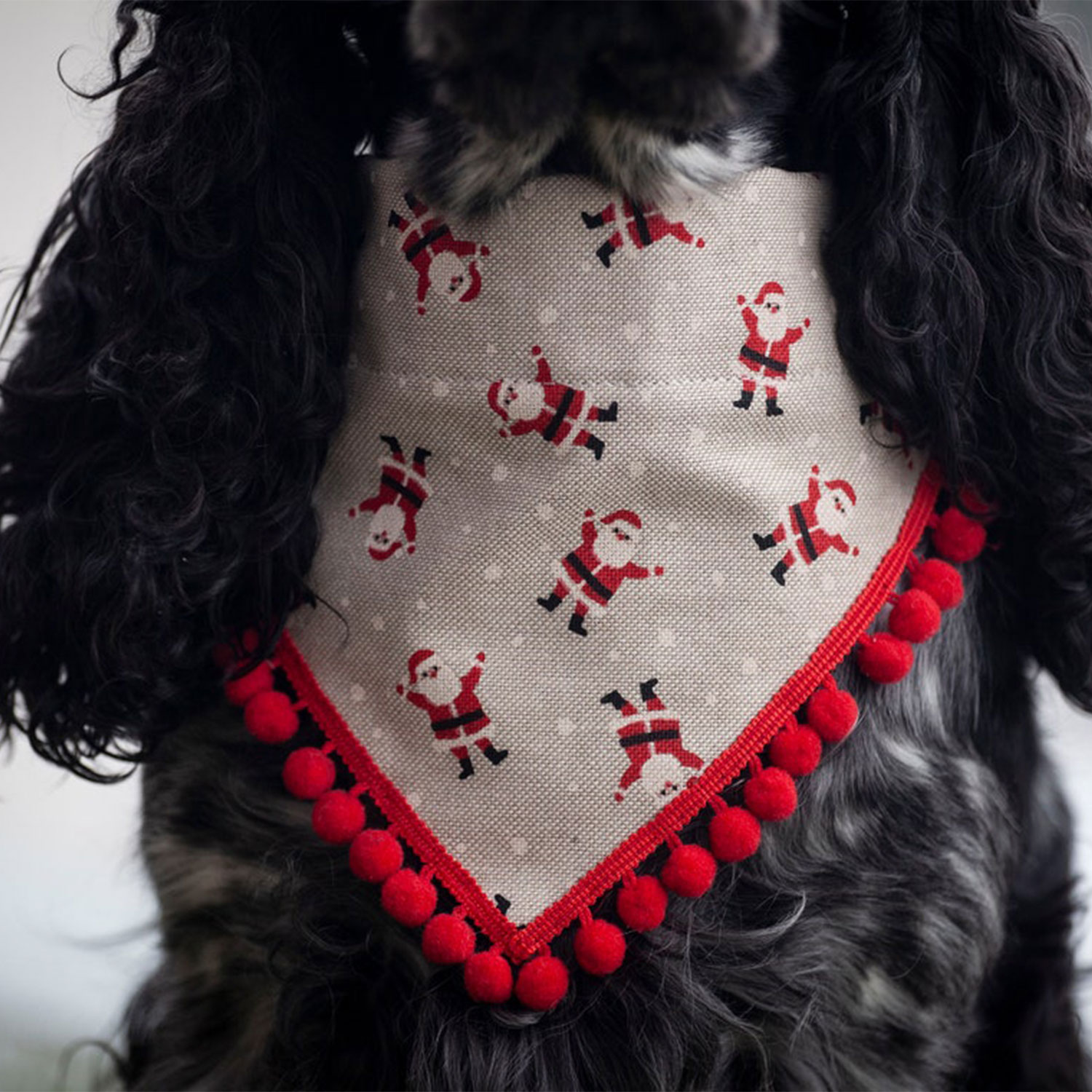 Bandana - Santa with Pompoms
