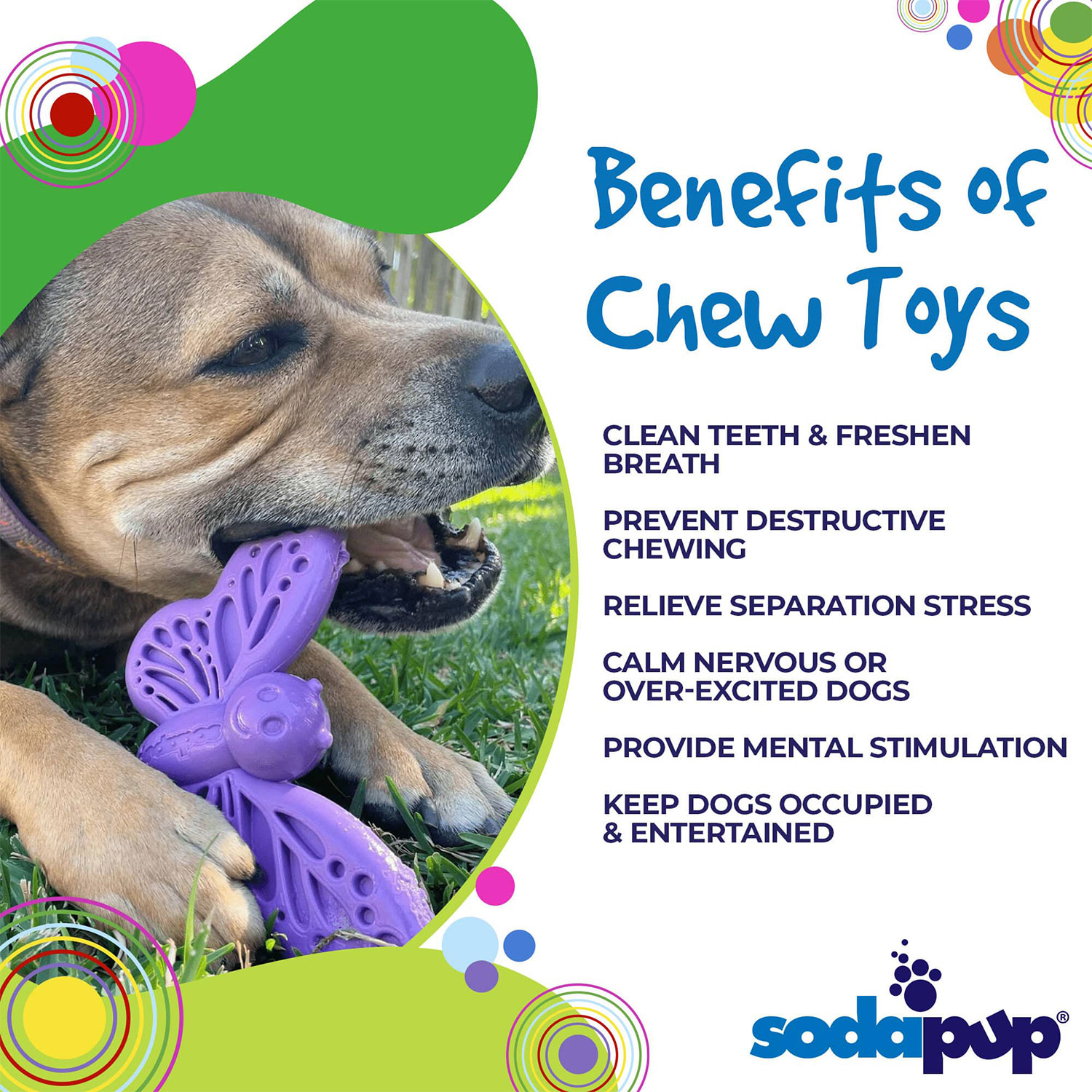 Butterfly Durable Nylon Dog Chew And Enrichment Toy - Image 4