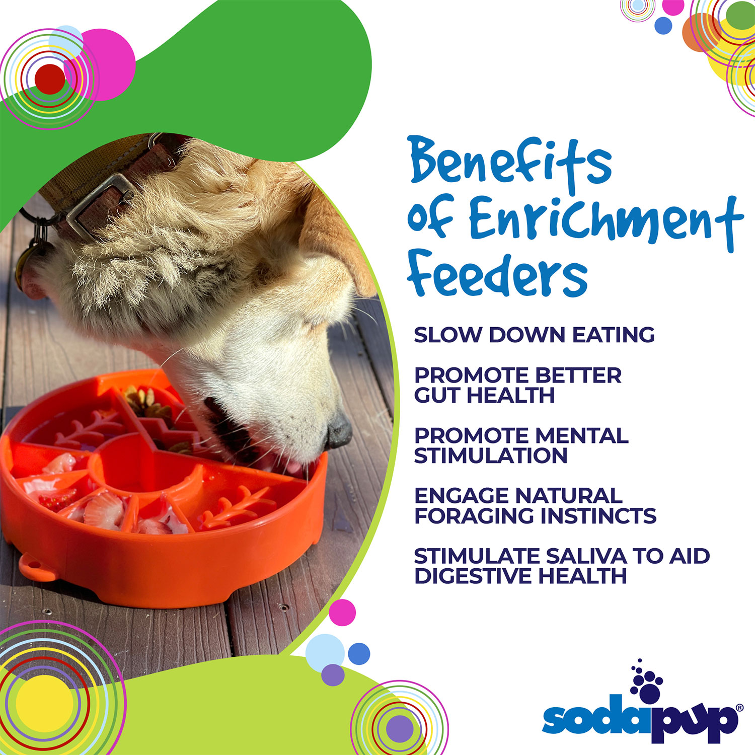 Great Outdoors Design eBowl Enrichment Slow Feeder Bowl for Dogs - Image 6