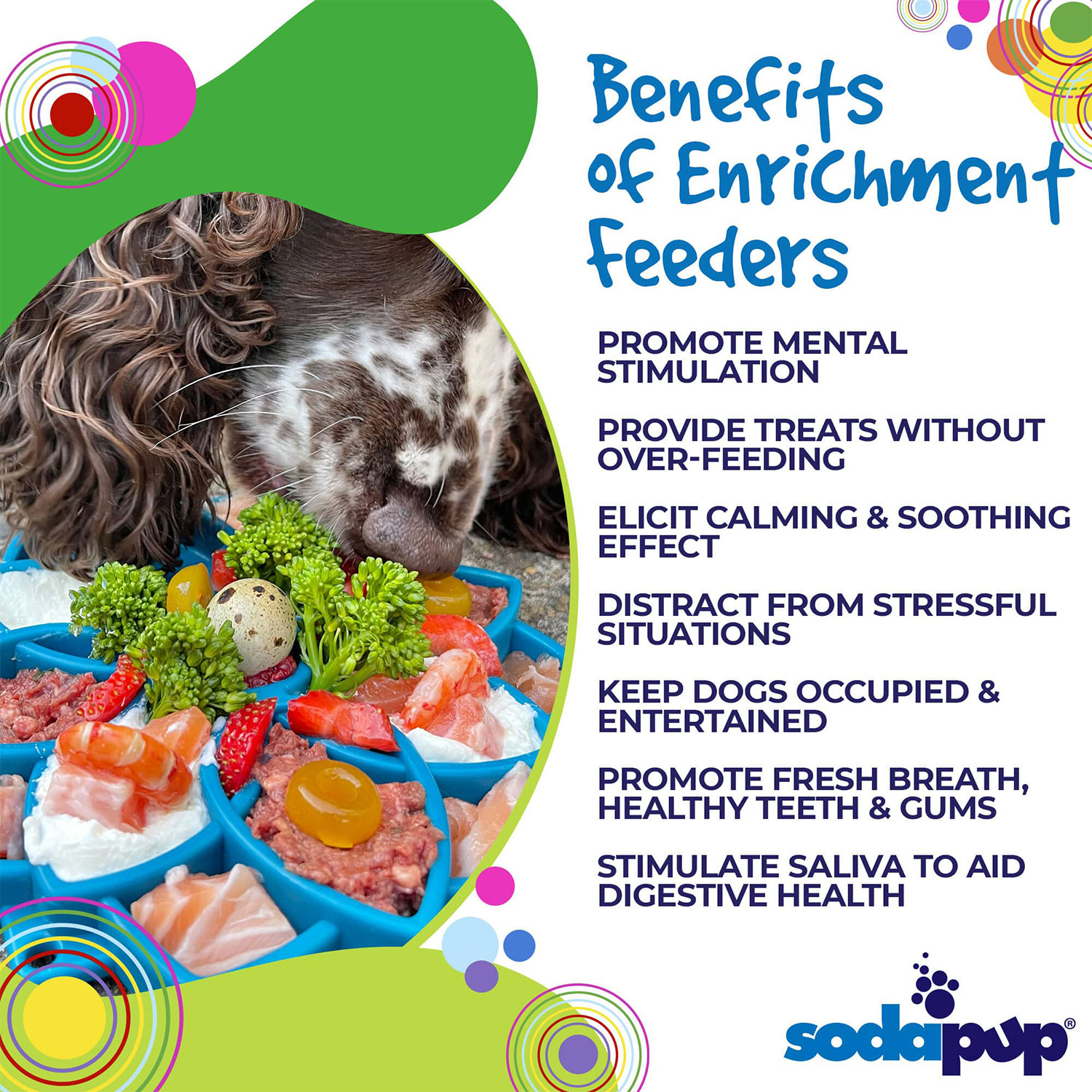 Mandala Design eTray Enrichment Tray for Dogs - Image 8