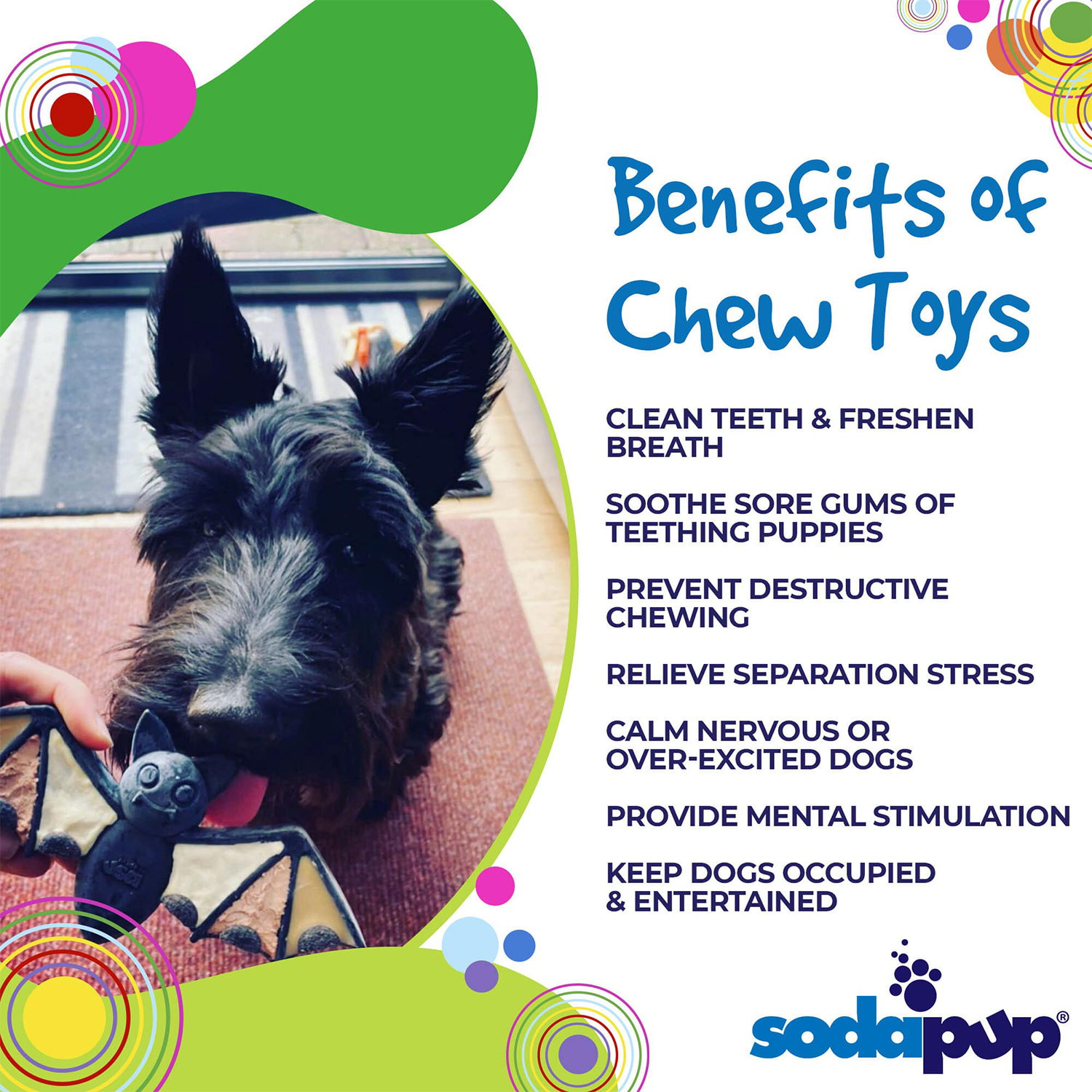 Vampire Bat Ultra Durable Nylon Dog Chew Toy For Aggressive Chewers - Image 4