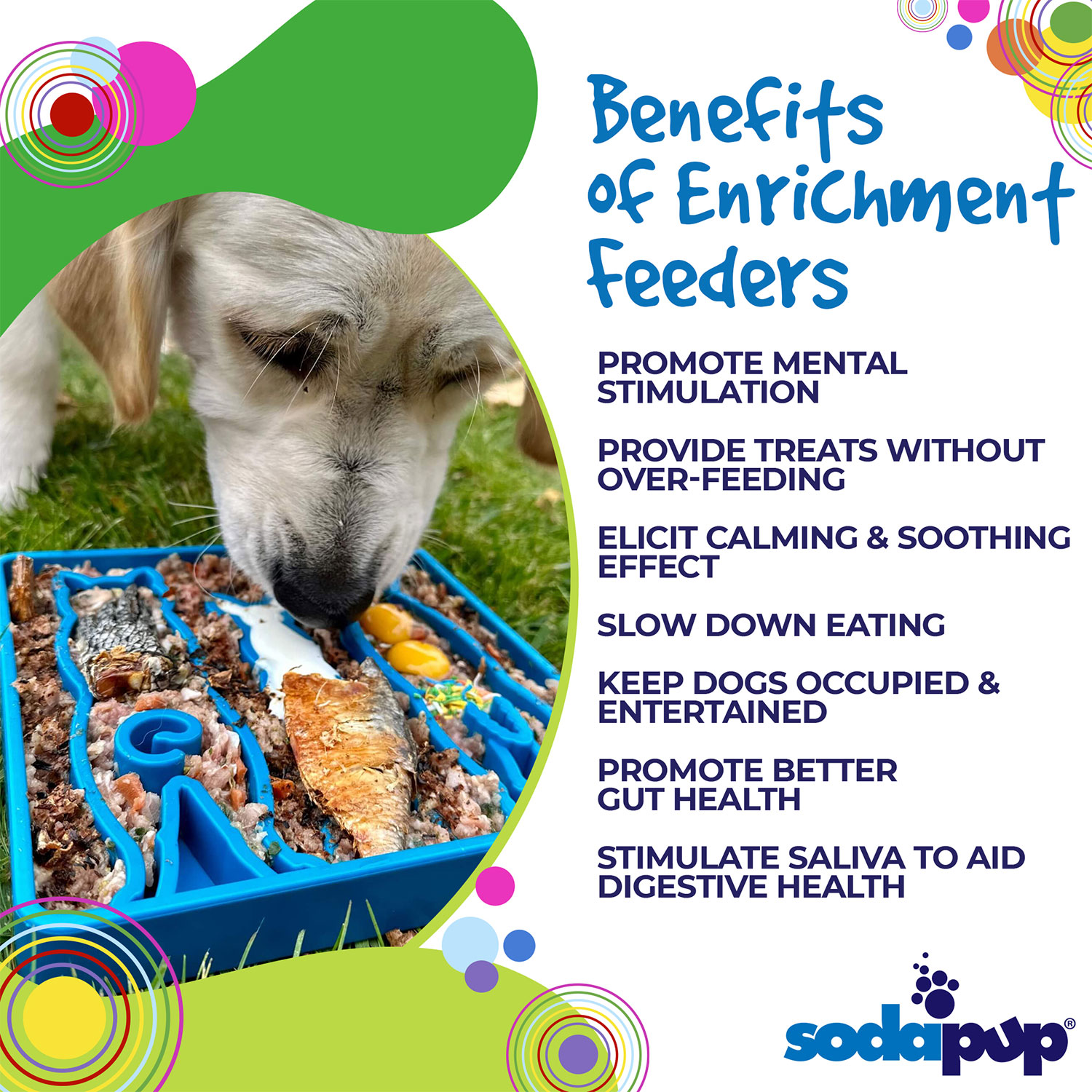 Waiting Dogs Design eTray Enrichment Tray for Dogs - Image 4