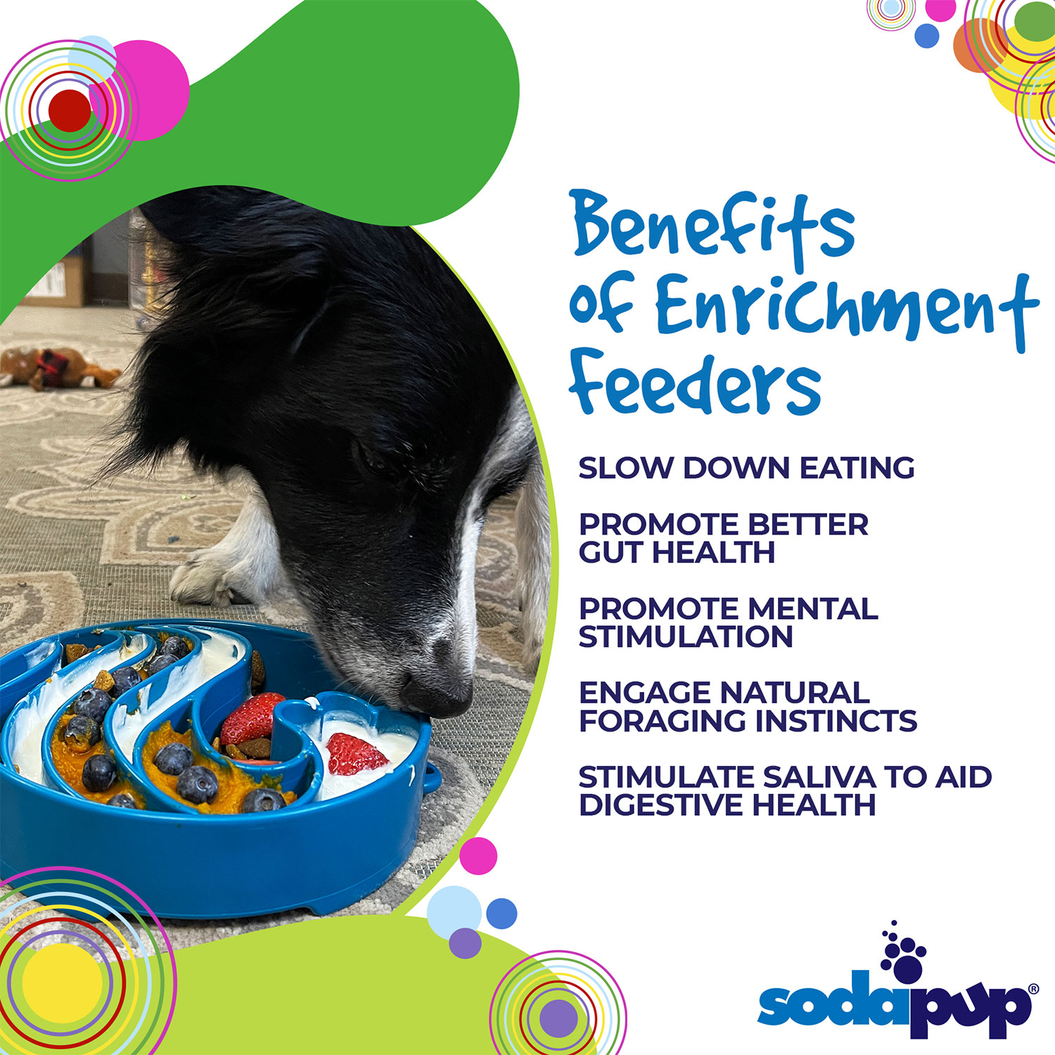Wave Design eBowl Enrichment Slow Feeder Bowl for Dogs - Image 4
