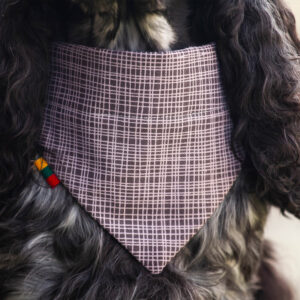 Ugne Winner Black Lines Dog Bandana Pet Accessories