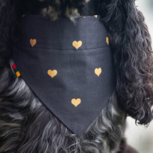 Ugne Winner Black with Hearts Dog Bandana Pet Accessories