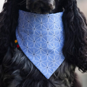 Ugne Winner Blue Four Pointed Star Dog Bandana Pet Accessories