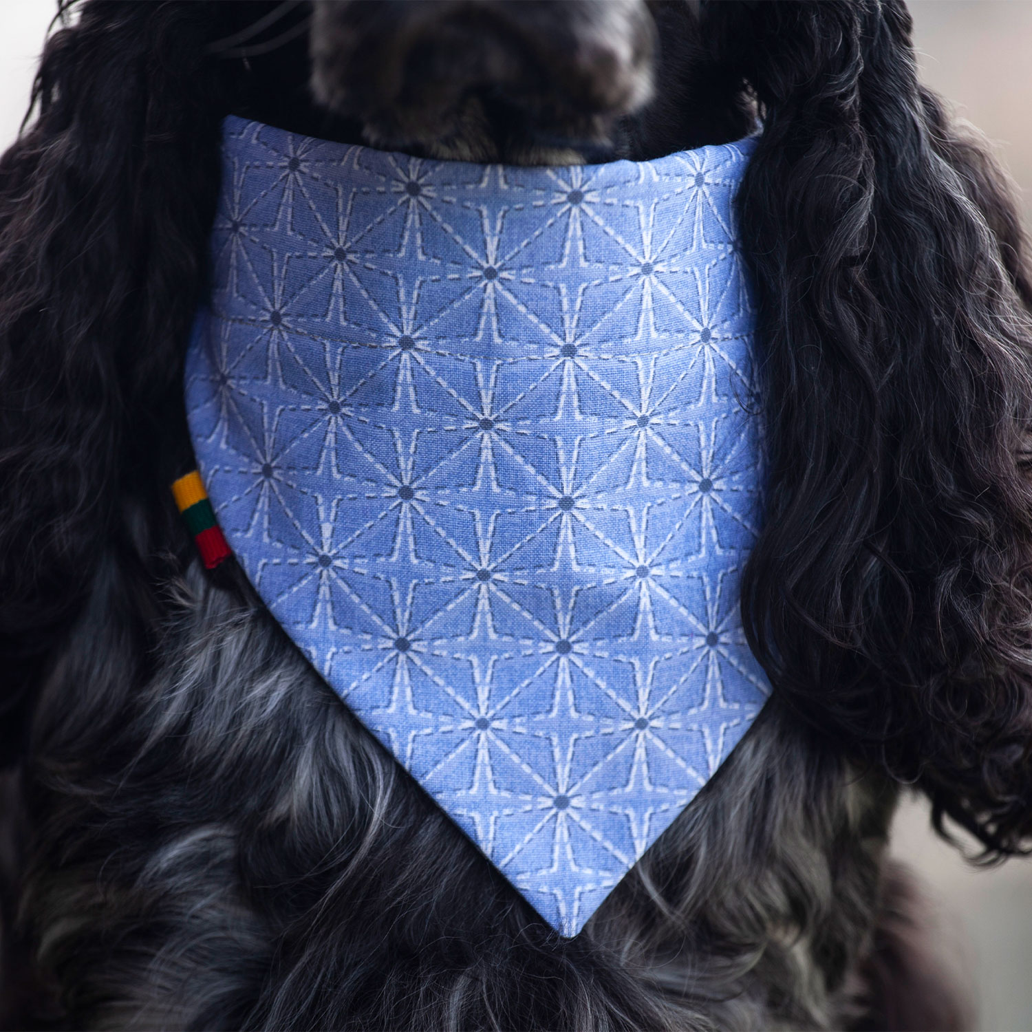 Ugne Winner Blue Four Pointed Star Dog Bandana Pet Accessories