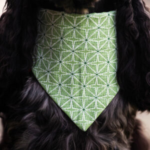 Ugne Winner Green Four Pointed Star Dog Bandana Pet Accessories