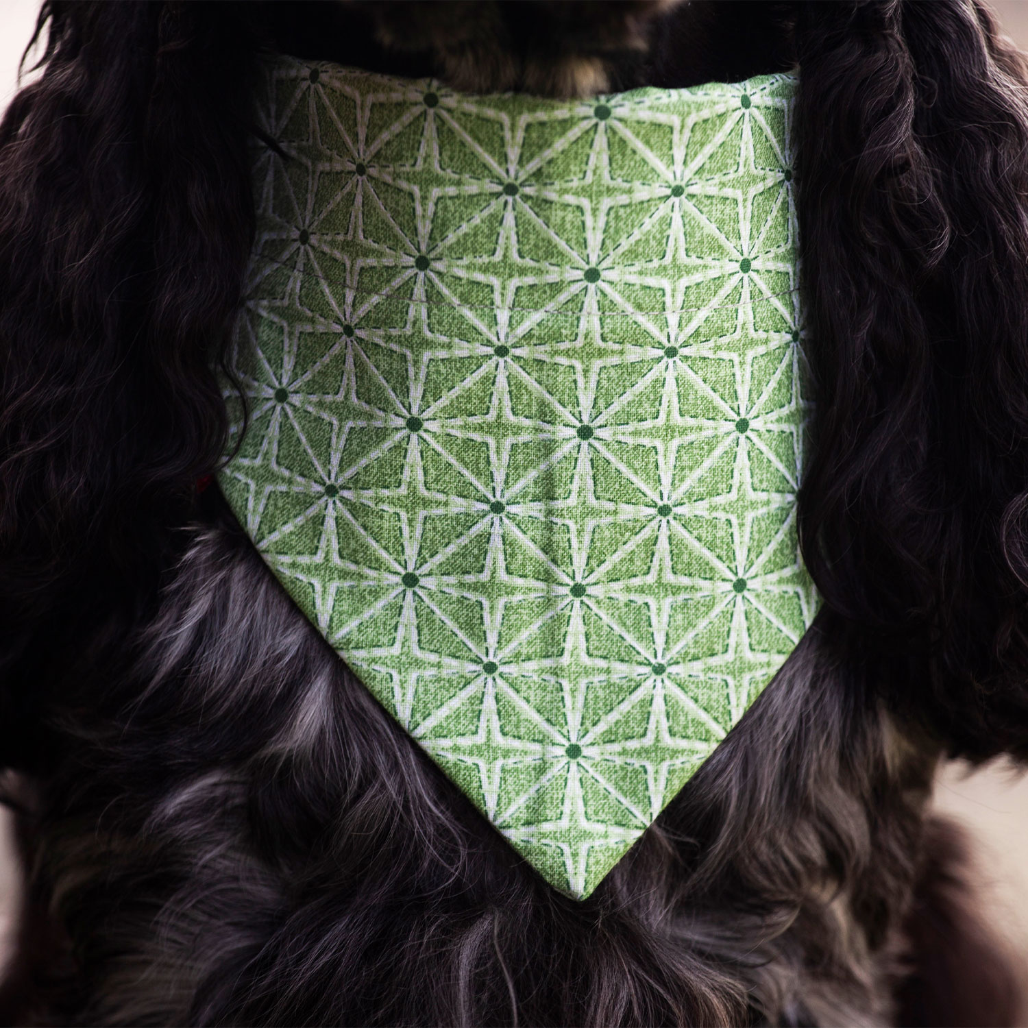 Ugne Winner Green Four Pointed Star Dog Bandana Pet Accessories