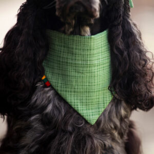 Green Lines Dog Bandana