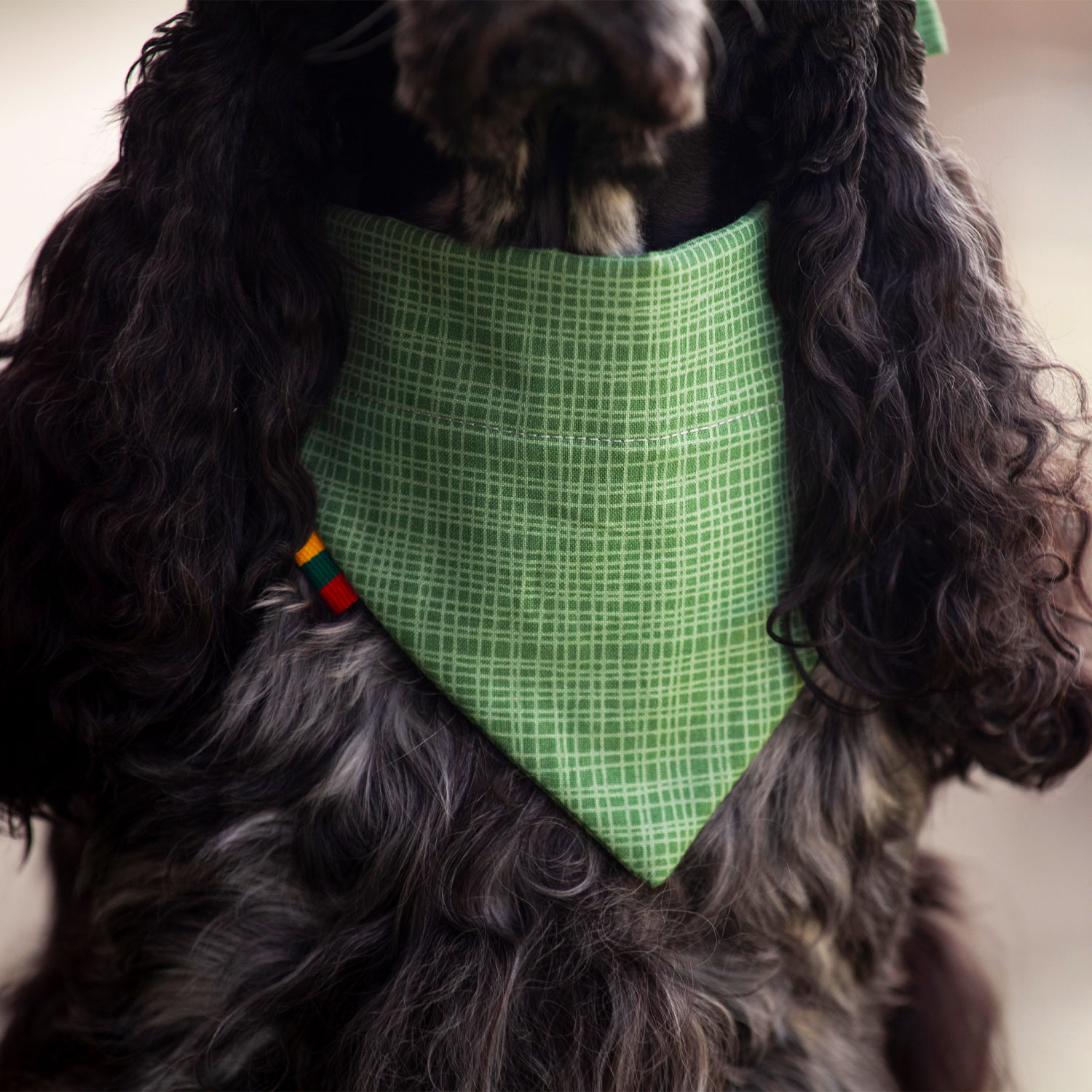 Green Lines Dog Bandana