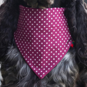 Ugne Winner Purple Spots Dog Bandana Pet Accessories