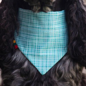 Ugne Winner Teal Lines Dog Bandana Pet Accessories