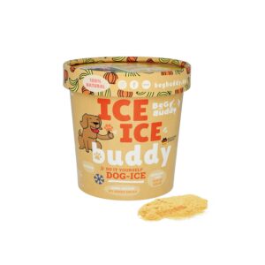 BeG Buddy Ice cream for dogs with pumpkin and banana 66 g