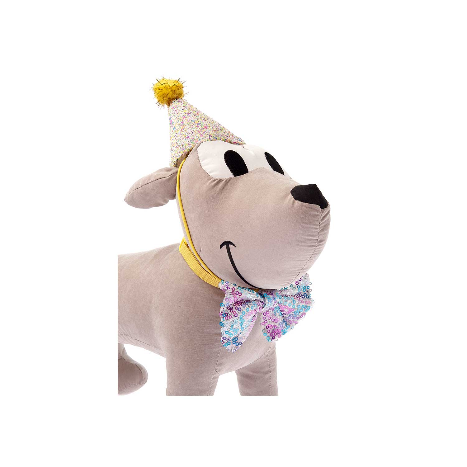 Ferribiella dog wearing birthday Hat and bow tie ABF234