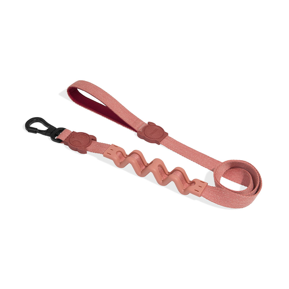 Zee.Dog Canyon Ruff Leash