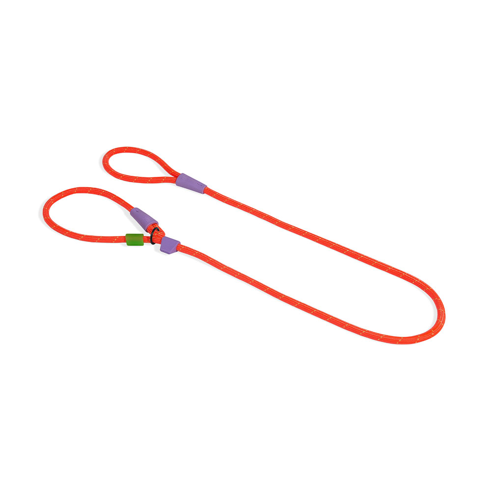 Zee.Dog Everest Slip-N-Lock Leash for dogs