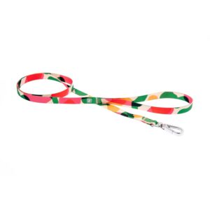 Ferribiella Camouflage Dog Leash HI1072