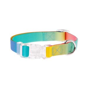 Ferribiella Rainbow Dog Collar HI1079