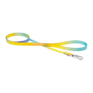 Ferribiella Rainbow Dog Leash HI1082