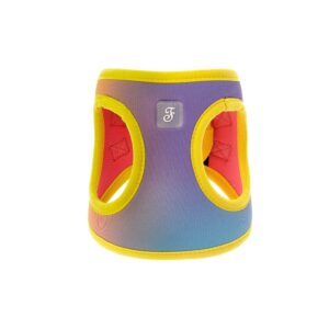 Ferribiella Rainbow Vest Harness for dogs and cats HI1080 front