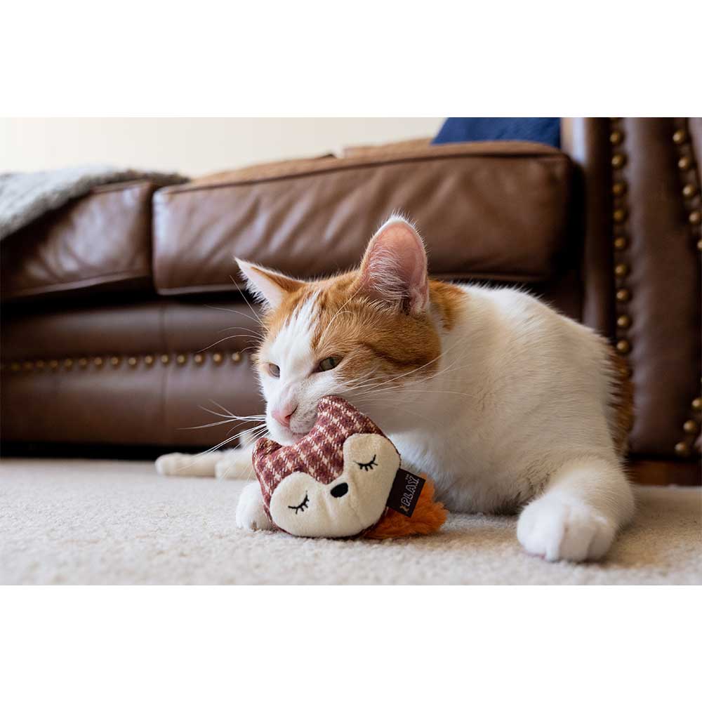 Pet Play Feline Friends Foxsy & Hopsy Catnip Cat Toy Set Lifestyle
