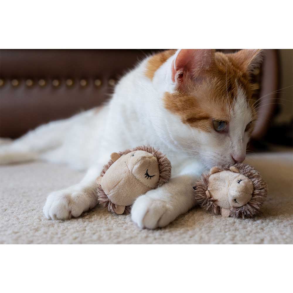 Pet Play Feline Friends Mama & Chip Catnip Cat Toy Set Lifestyle