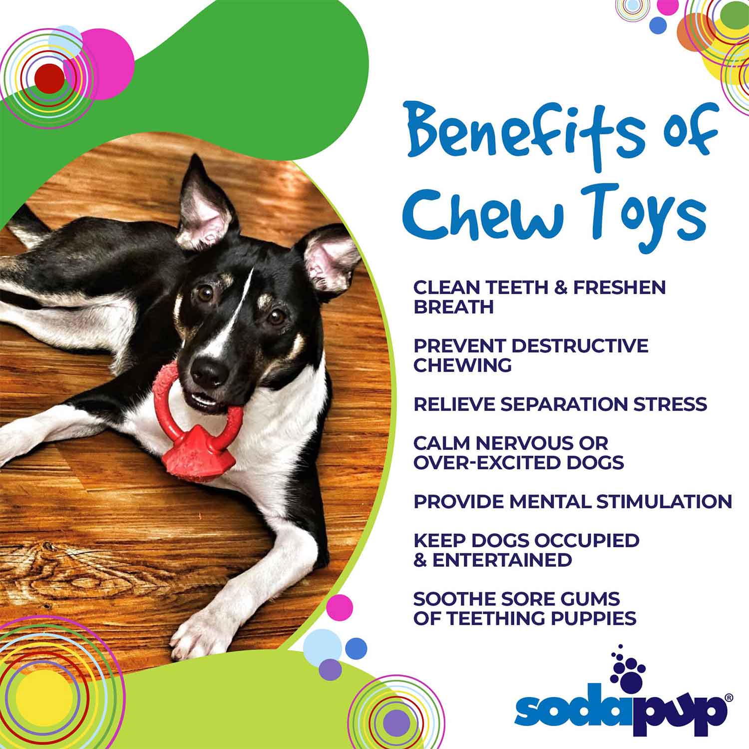 Sodapup Diamond Ring Durable Teething Ring Dog Chew Toy Benefits