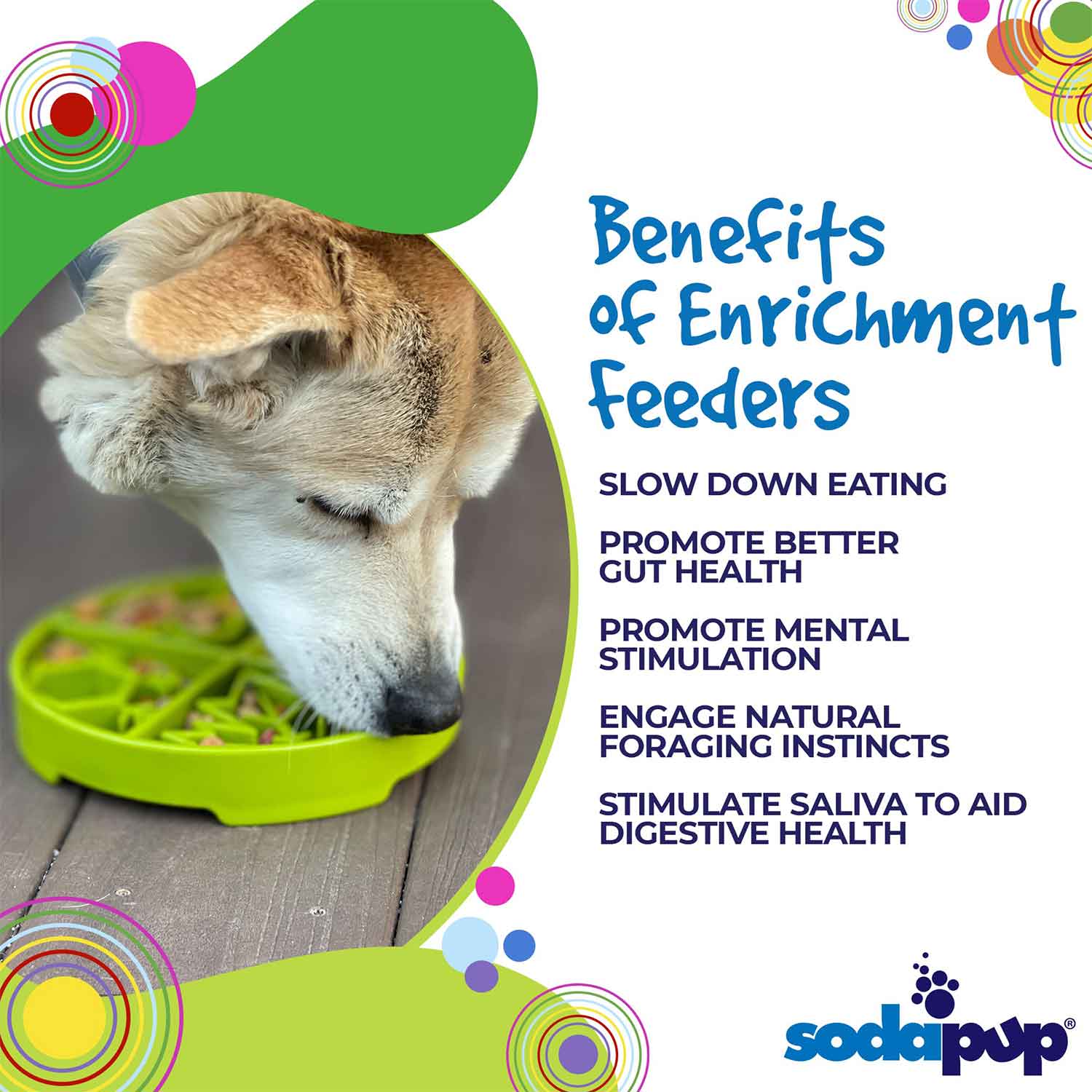 Sodapup Four Seasons Design eTray Enrichment Slow Feeder Bowl for Dogs Benefits