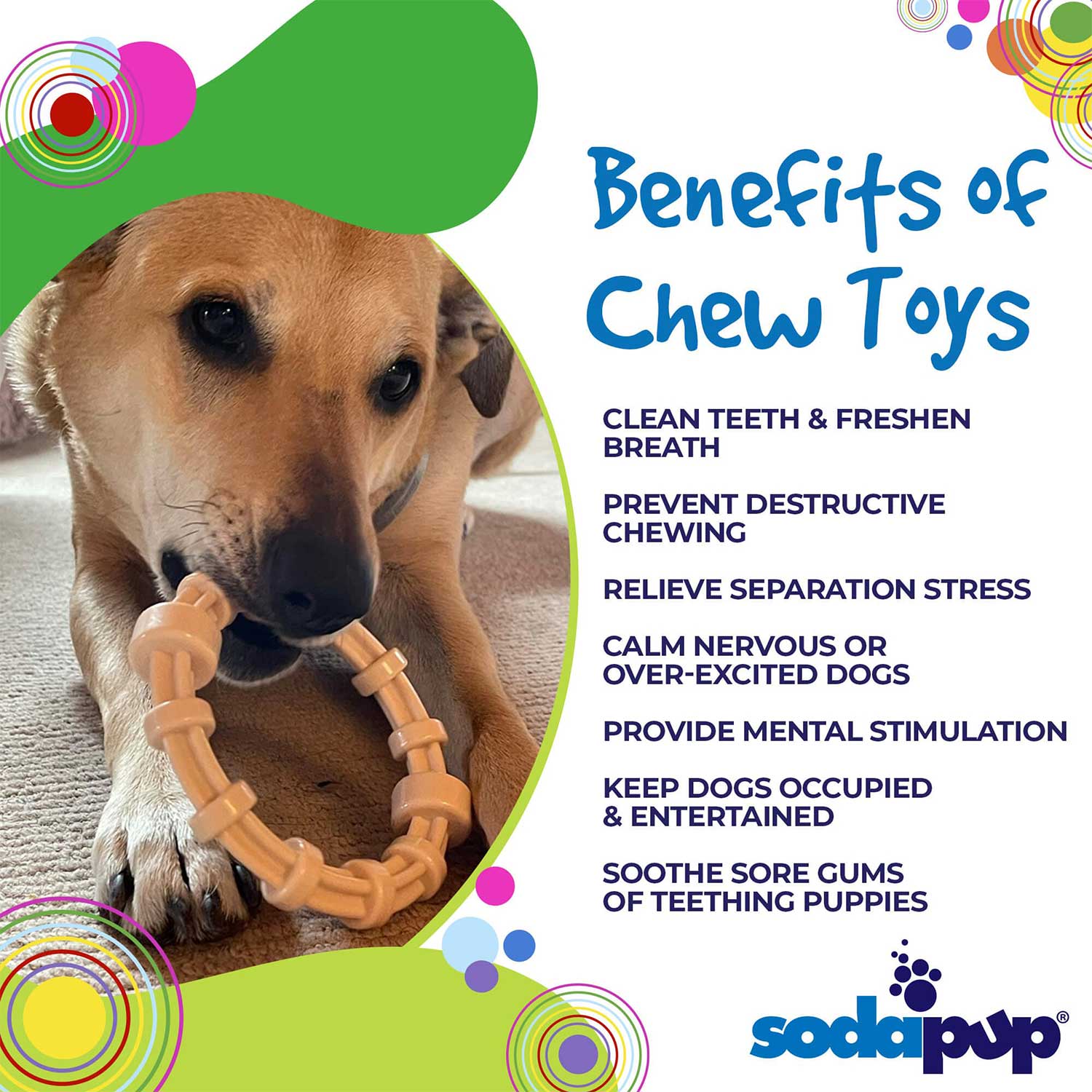 Sodapup Honey Bone Chicken Flavored Teething Ring for dogs benefits