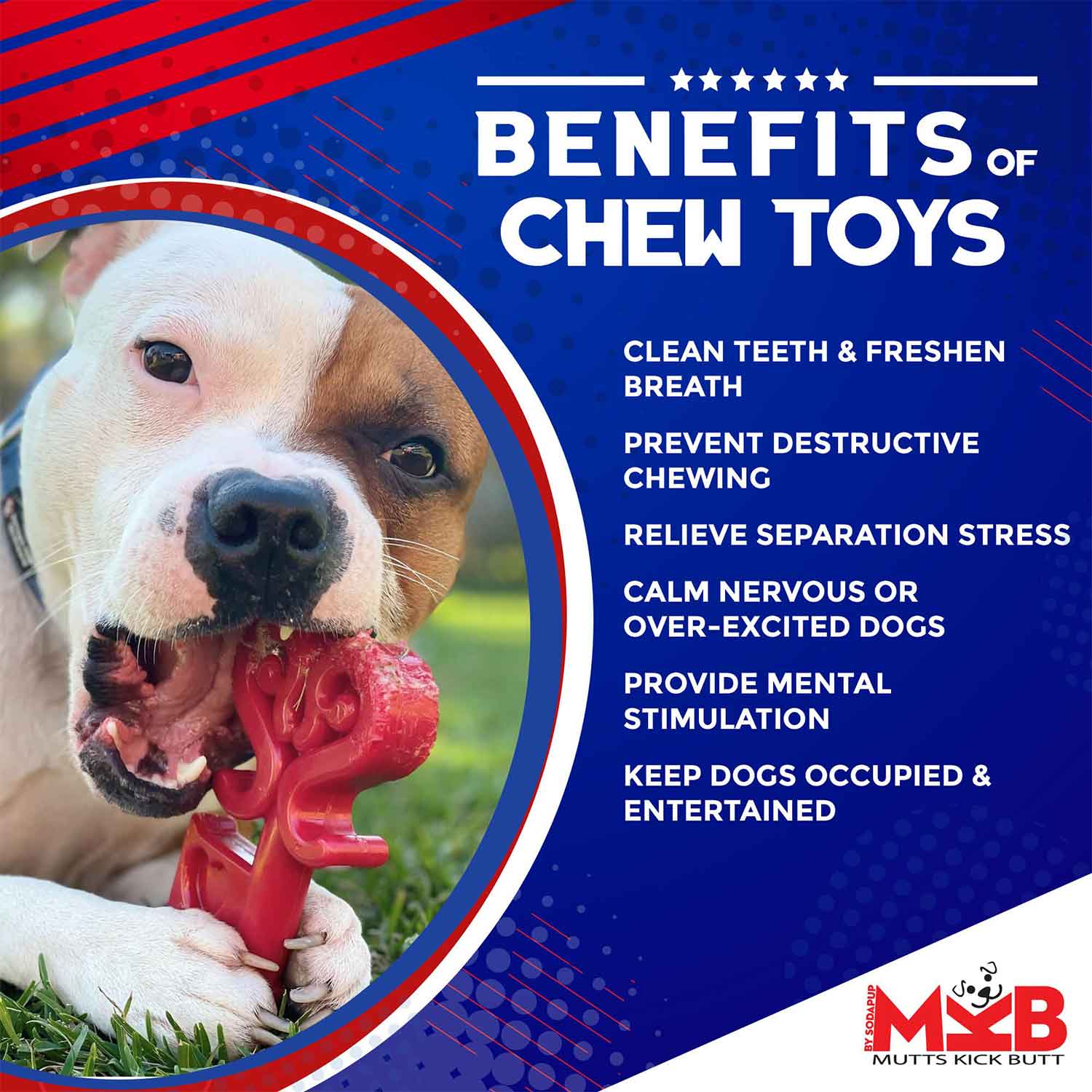 Sodapup Key To My Heart Ultra Durable Nylon Dog Chew Toy Benefits