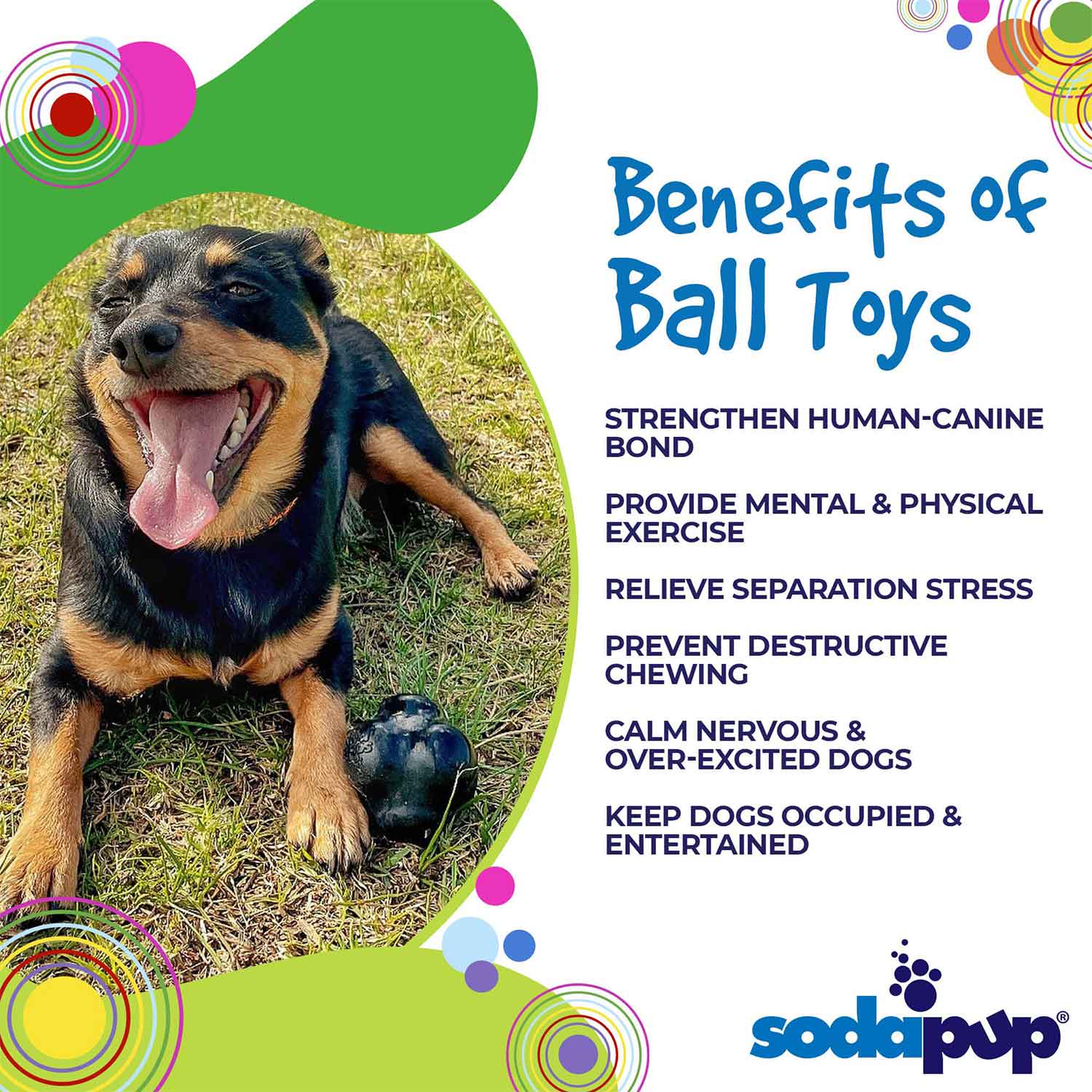 Sodapup Magnum Crazy Bounce Ultra Durable Rubber Chew & Retrieve Dog Toy Benefits